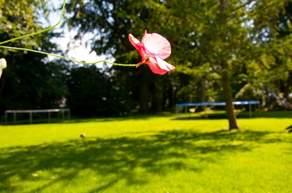 Skelstrupgaard Apartment *